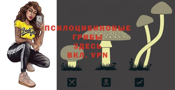 ГАЛЛЮЦИНОГЕННЫЕ ГРИБЫ Володарск
