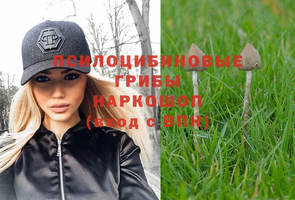 дмт Волоколамск
