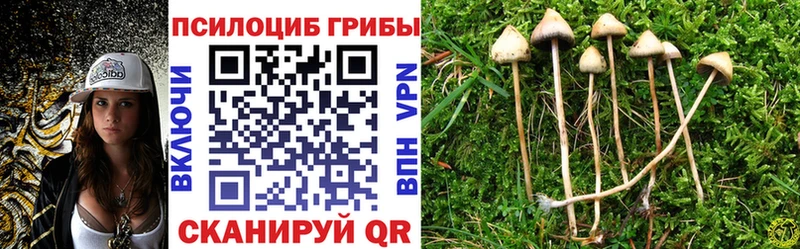 MEGA ONION  Дальнегорск  Галлюциногенные грибы Psilocybe 